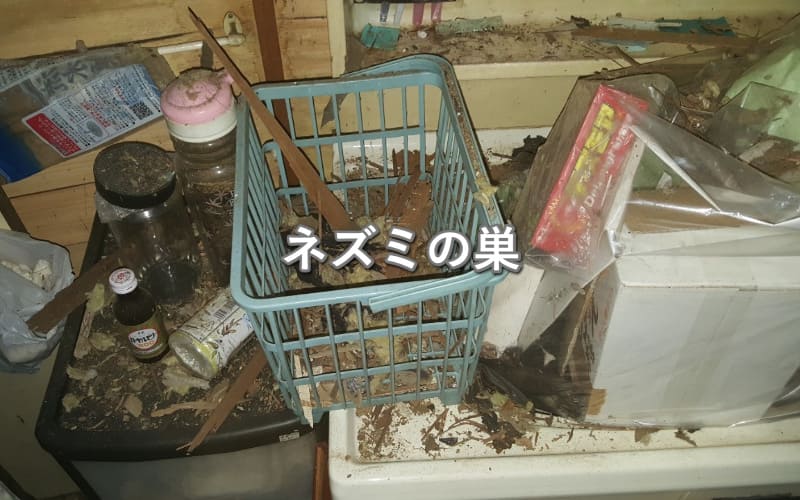 ゴミ屋敷にあるネズミの巣